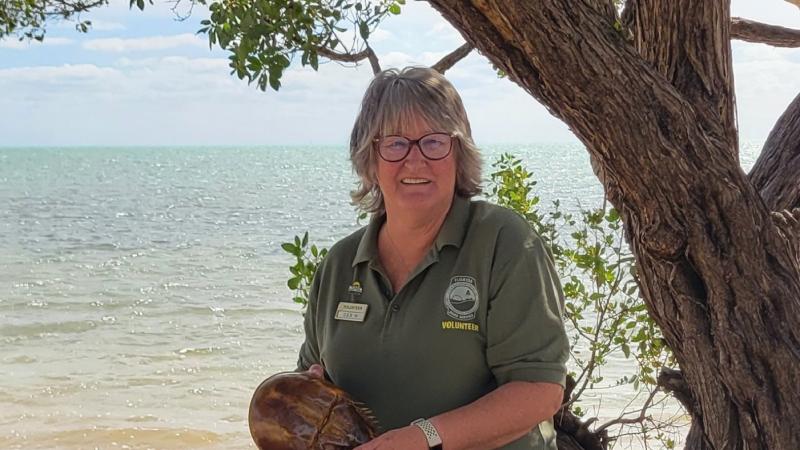 a smiling volunteer holds a horseshoe crab exoskeleton while standing on the beach